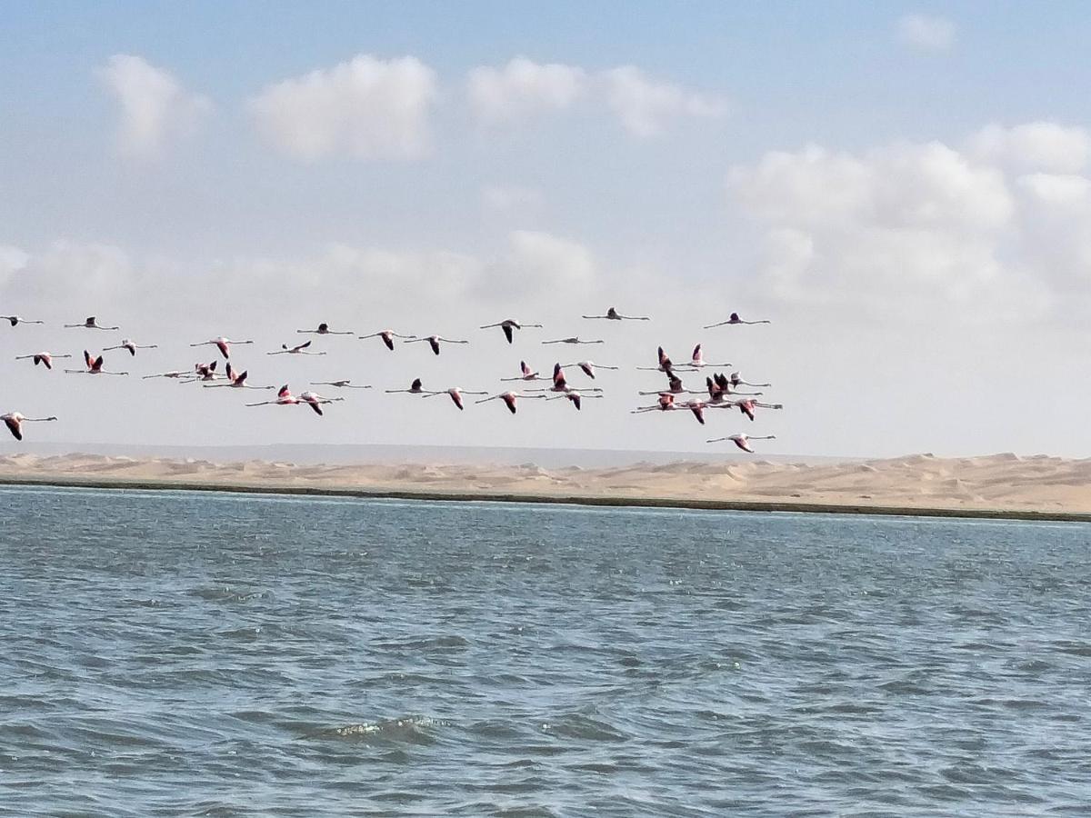 Hotel El Ghazi Tarfaya Exteriér fotografie
